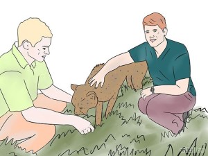 Become-a-Dolphin-Trainer-Step-1