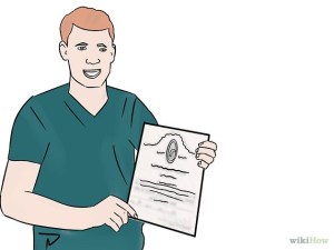 Become-a-Dolphin-Trainer-Step-2