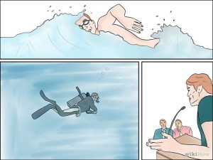 Become-a-Dolphin-Trainer-Step-5